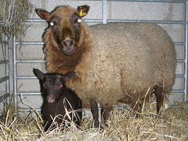 Nellie with her girl Nellie with her girl