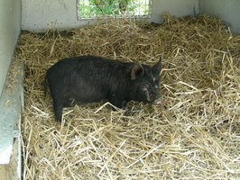 Phil checks out his new house Phil checks out his new house