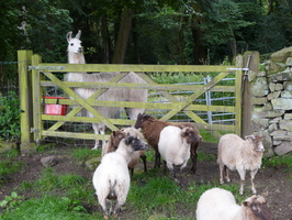 Checking out the neighbours Checking out the neighbours