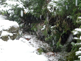 Lily is mesmorised Lily is mesmorised