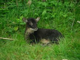 Kate (aka #27.2) Kate (aka #27.2)