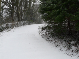 Looking up the really steep bit about half way Looking up the really steep bit about half way