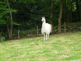 Out in his new field Out in his new field
