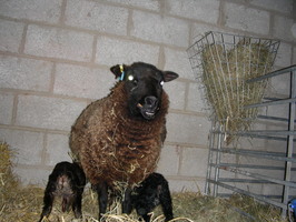 The #27 family enjoys a snack The #27 family enjoys a snack