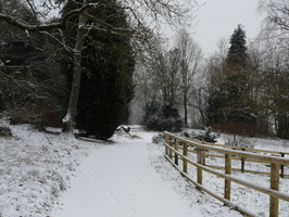View down the drive, about a third of the way up View down the drive, about a third of the way up