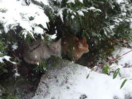 James and Robbie take shelter James and Robbie take shelter