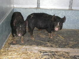 Phil and Grant start their journey Phil and Grant start their journey